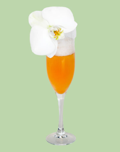 INCA MIST