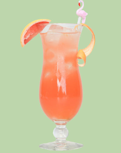 PISCO FLAMINGO