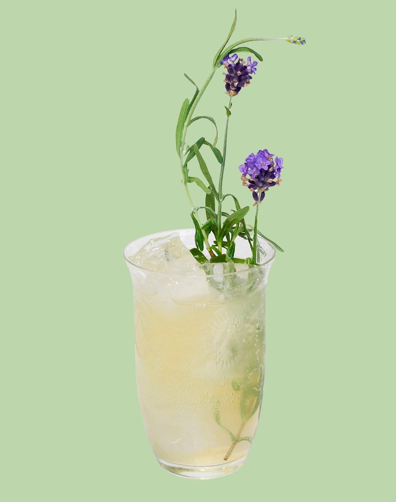 LAVENDER FIZZ