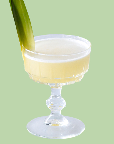 ORIGINAL PISCO PUNCH