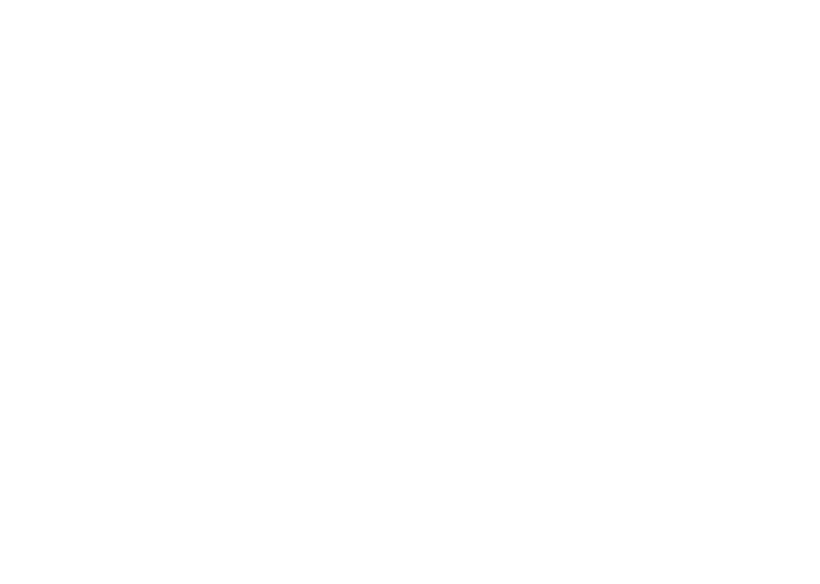 The Pisco People